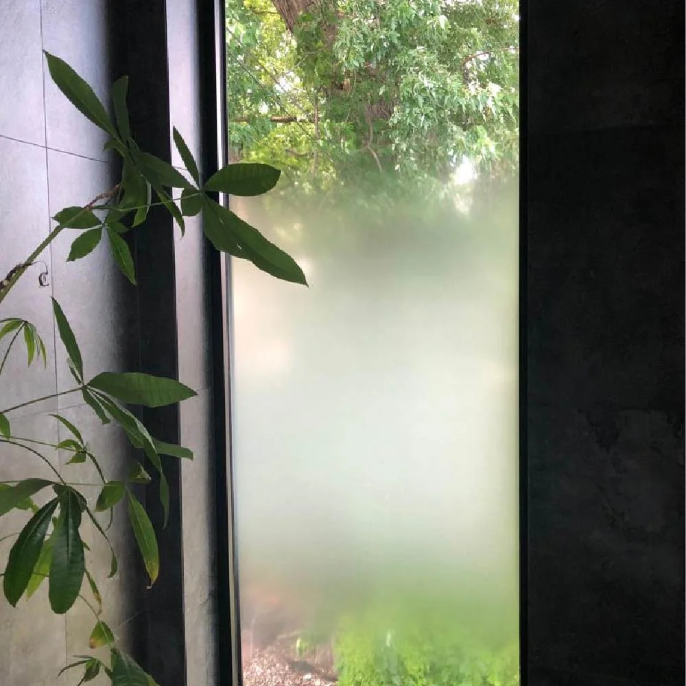 Pellicule givrée avec plante